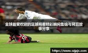 2025亚洲羽球锦标赛 4月宁波掀战